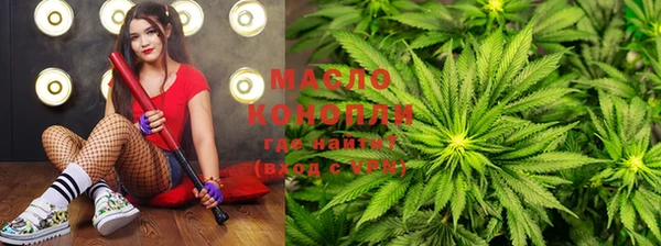 дмт Новодвинск