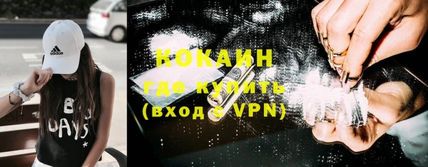 сатива Нея