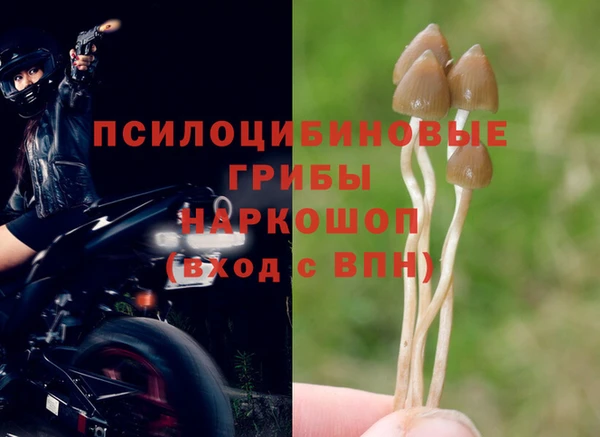 синтетический гашиш Нефтекумск