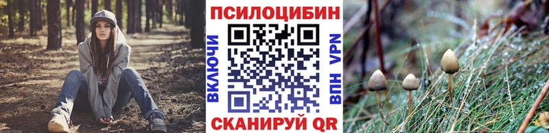 гидра вход  купить закладку  сайты даркнета официальный сайт  Галлюциногенные грибы ЛСД  Богородицк 